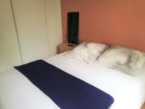 Giường trong phòng chung tại Joli appartement dans villa entre Nice et l'arrière pays