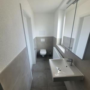 a bathroom with a sink and a toilet at Apartments am Kochertal in Oedheim
