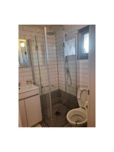 een badkamer met een douche, een toilet en een wastafel bij Shkutai Hottub Arava in Ẕofar