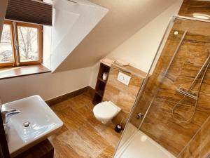 a bathroom with a shower and a toilet and a sink at Zum Alten Krug in Naumburg