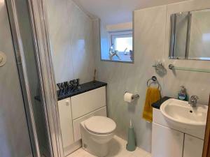 a small bathroom with a toilet and a sink at 2-Bedroom Cottage with 2 Ensuites - Sleeps 6 Wifi in Rye +16 photos