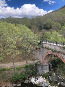 an old stone bridge over a river with trees at Charmant studio situé à proximité des thermes 30 in Amélie-les-Bains-Palalda