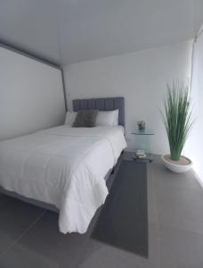 ein weißes Schlafzimmer mit einem Bett und einer Topfpflanze in der Unterkunft Deluxe boutique lodge in Vara Blanca