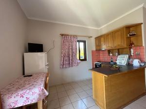Kuchyňa alebo kuchynka v ubytovaní Dimitra Rooms