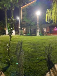 Ein Garten an der Unterkunft Marla Didim Otel