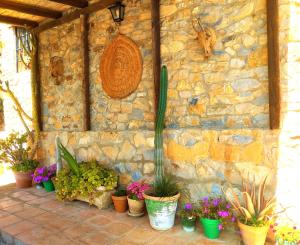 Zahrada ubytování La Casita de Piedra