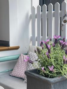 Fotografie z fotogalerie ubytování Beachfront House Pythagorion v destinaci Pythagorion