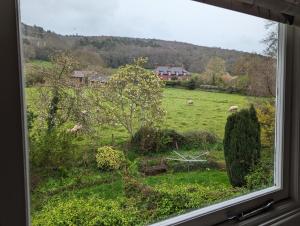 a window with a view of a field with sheep at The Pack Horse Exmoor National Park Allerford Riverside Cottage & Apartments in Minehead