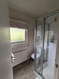 a bathroom with a shower and a toilet and a window at The Pack Horse Exmoor National Park Allerford Riverside Cottage & Apartments in Minehead
