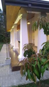 Fotografie z fotogalerie ubytování Serenity Villa Anuradhapura v destinaci Anuradhápura