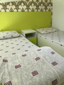 1 Schlafzimmer mit 2 Betten und einer grünen Wand in der Unterkunft Anisa- Hostel in Duschanbe