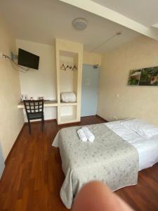 TV a/nebo společenská místnost v ubytování HOTEL L'AMERIVIERE***