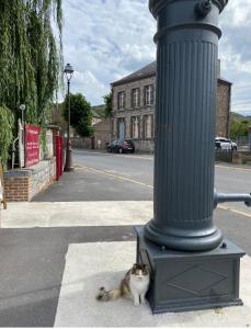 um gato sentado ao lado de um poste numa rua em HOTEL L'AMERIVIERE*** em Aubrives