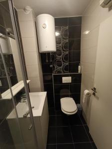 La petite salle de bains est pourvue de toilettes et d'un lavabo. dans l'établissement Apartman A&D, à Ljubuški