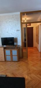 Μια τηλεόραση ή/και κέντρο ψυχαγωγίας στο Apartman Stojanovic +23 φωτογραφίες