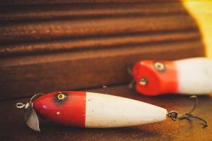 two toy fish are sitting on a table at Fronterra Farm- Luxury Camp Experiences in Hillier