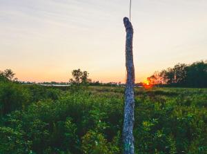 un poste en un campo con la puesta de sol en el fondo en Fronterra Farm- Luxury Camp Experiences, en Hillier