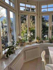 a large room with windows and white radiatorisers at Laurelia Suites in Merano +48 photos