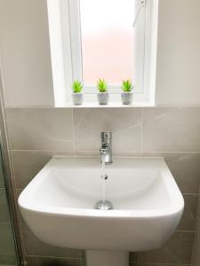 a bathroom sink with three potted plants on a window at Antley House in Andover