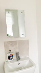 a white sink with a medicine cabinet above it at Antley House in Andover