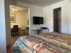 um quarto com uma cama, uma secretária e uma televisão em Hotel Motel Le Regent em Quebeque