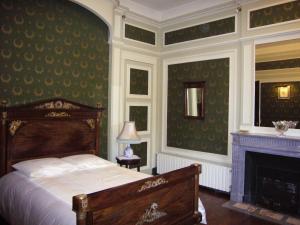 a bedroom with a bed and a fireplace at Le Manoir du coeur volant B&B in Saint-Aignan