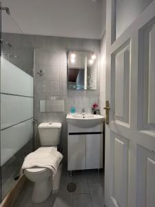 a bathroom with a toilet and a sink and a mirror at Perakis Apartments in Hydra