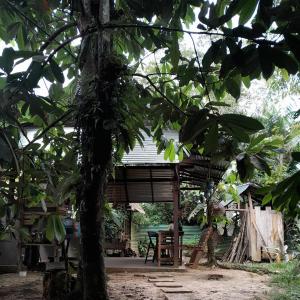 einen Pavillon mit einem Tisch und einem Baum in der Unterkunft Casa do Xingú in Leticia