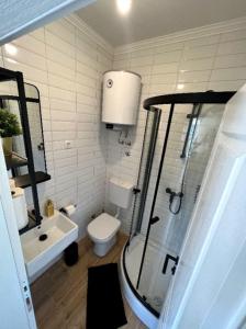 a bathroom with a shower and a toilet and a sink at Studio apartman Nela in Murter