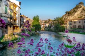Un río en una ciudad con flores púrpuras en Apartamentos Terraza Ega, en Estella