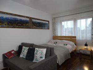 ein Wohnzimmer mit einem Sofa und einem Bett in der Unterkunft Apartamenty Tatrzańska Dolina in Kościelisko