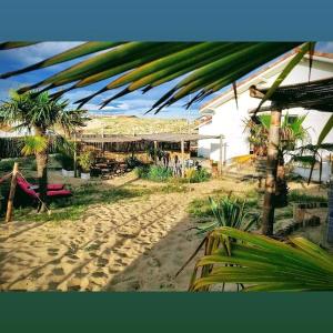 widok na plażę z palmami i budynek w obiekcie Guesthouse Évasion w mieście Contis-les-Bains