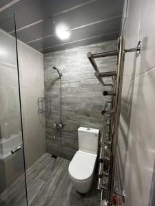 a small bathroom with a toilet and a shower at Apartment in Erebuni in Yerevan