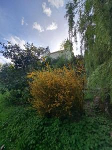 Vonkajšia záhrada v ubytovaní Chateau de la Segue