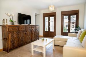 uma sala de estar com um sofá e uma televisão em Apartamentos Terraza Ega em Estella