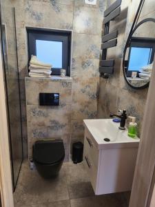 een badkamer met een toilet, een wastafel en een spiegel bij Domek rodzinny in Piekielnik