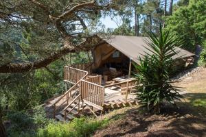 a cabin in the woods with a tree at Quinta Japonesa in Carvalhal Bemfeito