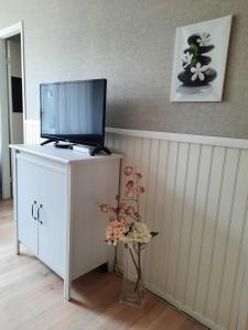 a television on a cabinet with a vase of flowers at Aalto 17 in Haapsalu