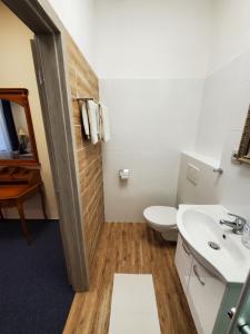 a bathroom with a toilet and a sink at Hotel Koruna penzion in Teplice nad Metují