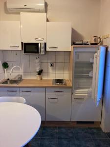 Kuchyň nebo kuchyňský kout v ubytování Apartman Duga