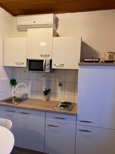 Kuchyň nebo kuchyňský kout v ubytování Apartman Duga