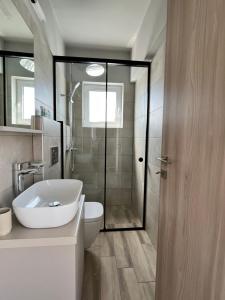 ein Bad mit einem Waschbecken, einem WC und einer Dusche in der Unterkunft Stunning Penthouse Combo near Glyfada - free Parking in Athen