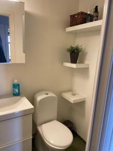 a bathroom with a white toilet and a sink at Apartment Garbo in Stockholm