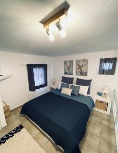 1 dormitorio con 1 cama azul en una habitación en Egea House, en Stelida