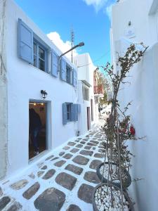 a cobblestone street with two potted plants and a building at Windmill House Mykonos in Megali Ammos
