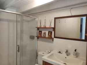 a bathroom with a shower and a sink and a mirror at Pexe na mar in Lastres