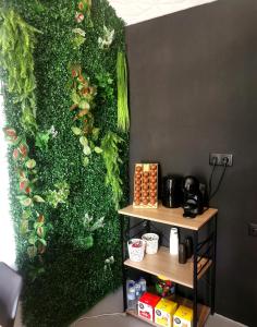 una pared verde con un estante en una habitación en Linda House, en Casais de São Mamede