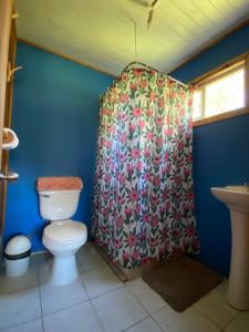 a bathroom with a toilet and a shower curtain at Bosque Patagonico Cabañas y Camping in Hornopiren +55 photos