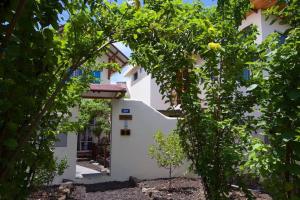 an external view of the house through the trees at Galapagos Encantadas in Puerto Ayora
