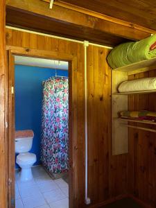 a bathroom with a toilet and a shower curtain at Bosque Patagonico Cabañas y Camping in Hornopiren